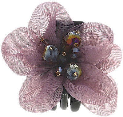 

Anuradha Art Jewellery Clutcher Hair Claw(Purple)