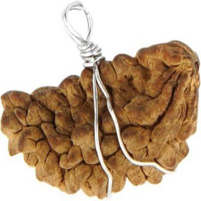 SHIVOHAM Energized 1 Mukhi Rudraksha Silver Cage Wood Pendant