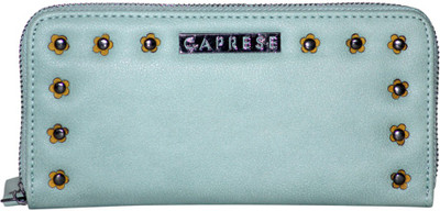 

Caprese Casual Blue Clutch