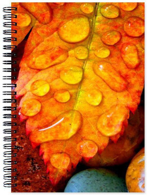 

Little Jaipur A5 Note Book(Designer, Multicolor)