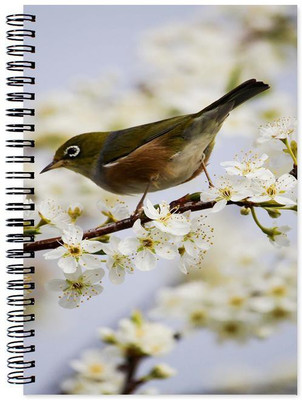 

Little Jaipur A5 Note Book(Designer, Multicolor)