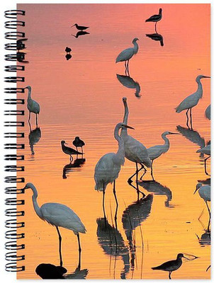 Little Jaipur A5 Note Book(Animal, Multicolor)