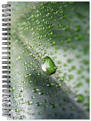 

Little Jaipur A5 Note Book(Designer, Multicolor)