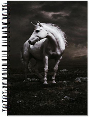 

Little Jaipur A5 Note Book(Designer, Multicolor)