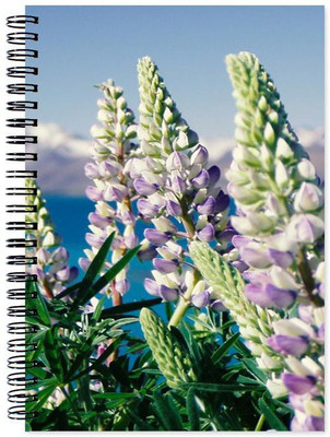 

Little Jaipur A5 Note Book(Designer, Multicolor)