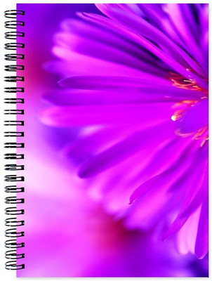 

Little Jaipur A5 Note Book(Designer, Multicolor)