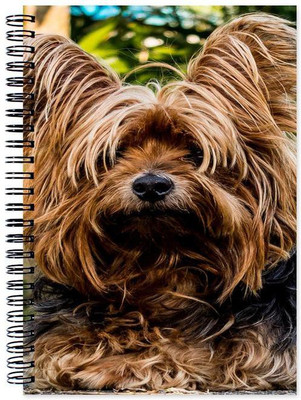 

Little Jaipur A5 Note Book(Designer, Multicolor)