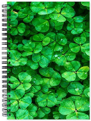 

Little Jaipur A5 Note Book(Designer, Multicolor)