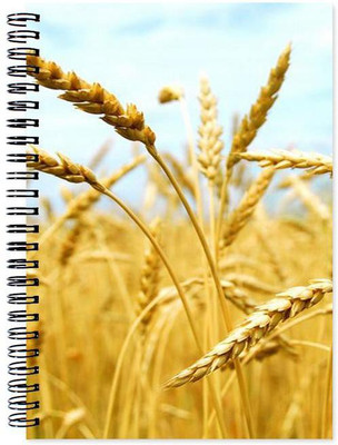 

Little Jaipur A5 Note Book(Designer, Multicolor)