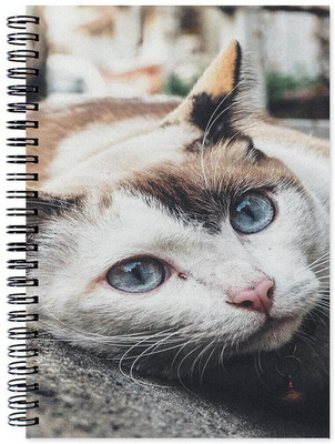 Little Jaipur A5 Note Book(Designer, Multicolor)