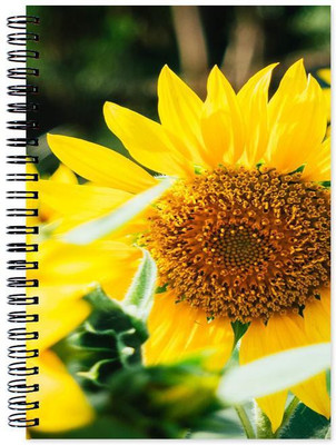 

Little Jaipur A5 Note Book(Designer, Multicolor)