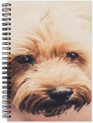 

Little Jaipur A5 Note Book(Designer, Multicolor)