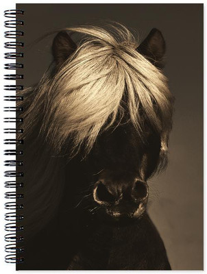 

Little Jaipur A5 Note Book(Designer, Multicolor)