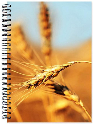 Little Jaipur A5 Note Book(Designer, Multicolor)