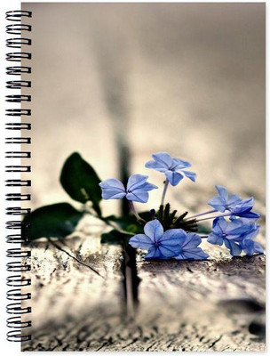 

Little Jaipur A5 Note Book(Designer, Multicolor)