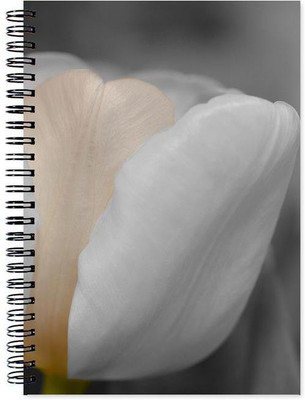 

Little Jaipur A5 Note Book(Designer, Multicolor)