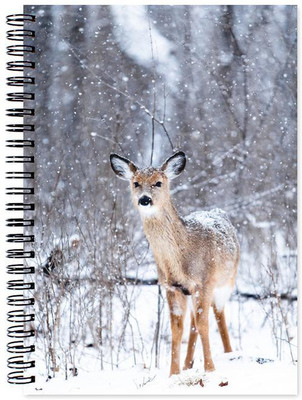 

Little Jaipur A5 Note Book(Designer, Multicolor)