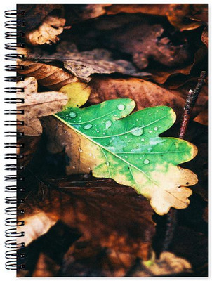 

Little Jaipur A5 Note Book(Designer, Multicolor)