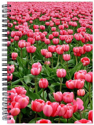

Little Jaipur A5 Note Book(Designer, Multicolor)
