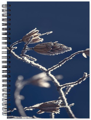 

Little Jaipur A5 Note Book(Designer, Multicolor)