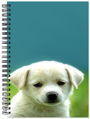 

Little Jaipur A5 Note Book(Designer, Multicolor)