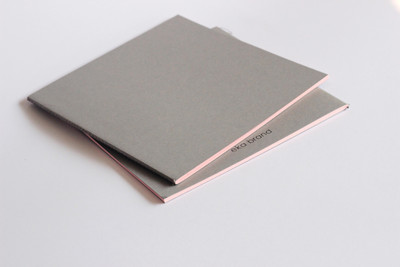 

EKA BRAND Assorted Note Book(GREY DIARY - PINK PAGES, Pink, Pack of 2)