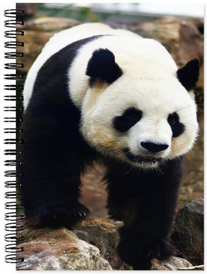 

Little Jaipur A5 Note Book(Designer, Multicolor)