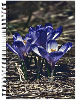 

Little Jaipur A5 Note Book(Designer, Multicolor)