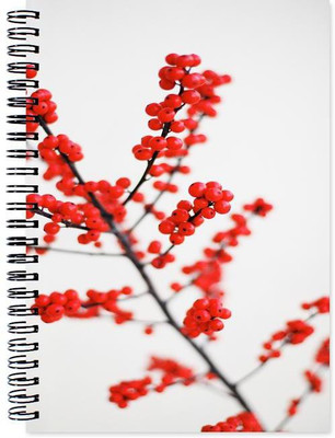 

Little Jaipur A5 Note Book(Designer, Multicolor)