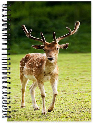 

Little Jaipur A5 Note Book(Animal, Multicolor)