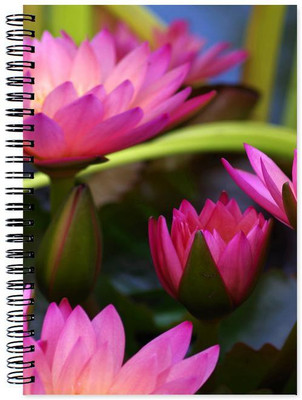 

Little Jaipur A5 Note Book(Designer, Multicolor)