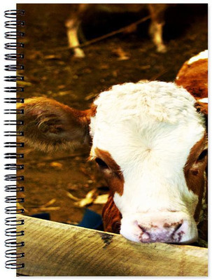 

Little Jaipur A5 Note Book(Designer, Multicolor)