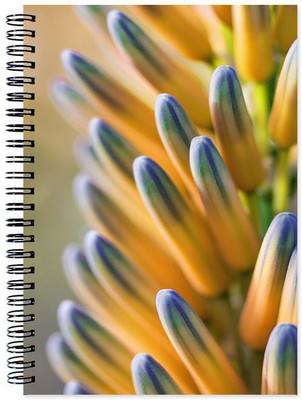 

Little Jaipur A5 Note Book(Designer, Multicolor)