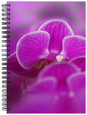 

Little Jaipur A5 Note Book(Designer, Multicolor)