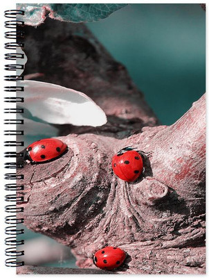 

Little Jaipur A5 Note Book(Designer, Multicolor)
