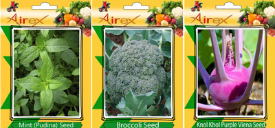 Airex Mint (Pudina), Broccoli, Knol Khol Purple Viena Vegetables Seed (Pack Of 15 Seed Mint (Pudina) + 15 Broccoli + 15 Knol Khol Purple Viena Seed) Seed(15 per packet)