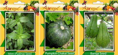 

Airex Mint (Pudina), Pumpkin, Banga Vegetables Seed (Pack Of 25 Seed Mint (Pudina) + 25 Pumpkin + 25 Banga Seed) Seed(25 per packet)