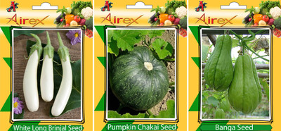 Airex White Long Brinjal, Banga, Pumpkin Vegetables Seed (Pack Of 20 Seed White Long Brinjal + 20 Banga + 20 Pumpkin Seed) Seed(20 per packet)