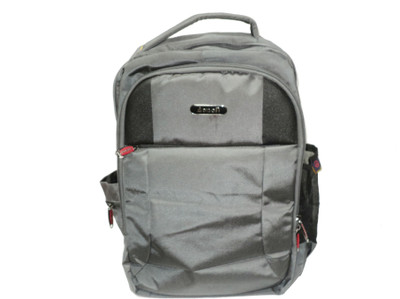 

ADISON ADGOLDSERIES2018 30 L Laptop Backpack(Black), Grey