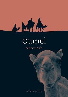 Camel(English, Paperback, Irwin Robert)