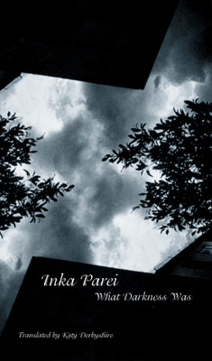 What Darkness Was(English, Paperback, Katy Derbyshire, Inka Parei)
