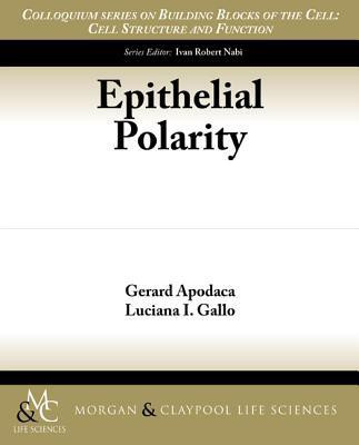 Epithelial Polarity(English, Paperback, Apodaca Gerard)