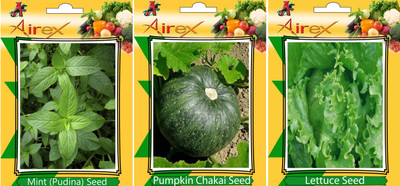 

Airex Mint (Pudina), Pumpkin, Lettuce Vegetables Seed + Humic Acid Fertilizer (For Growth of All Plant and Better Responce) 15 gm Humic Acid + Pack Of 30 Seed Mint (Pudina) + 30 Pumpkin + 30 Lettuce Seed Seed(30 per packet)