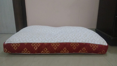 

pillows4health 1001001 M Pet Bed(Red)