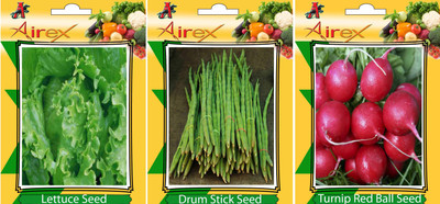

Airex Lettuce, Drum Stick, Turnip Red Ball Vegetables Seed + Humic Acid Fertilizer (For Growth of All Plant and Better Responce) 15 gm Humic Acid + Pack Of 30 Seed Lettuce + 15 Drum Stick + 30 Turnip Red Ball Seed Seed(30 per packet)