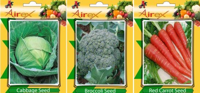 Airex Cabbage, Red Carrot, Broccoli Vegetables Seed + Humic Acid Fertilizer (For Growth of All Plant and Better Responce) 15 gm Humic Acid + Pack Of 30 Seed Cabbage + 30 Red Carrot + 30 Broccoli Seed Seed(30 per packet)