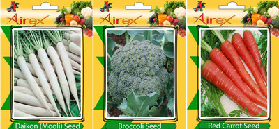 Airex Daikon, Red Carrot, Broccoli Vegetables Seed (Pack Of 15 Seed Daikon + 15 Red Carrot + 15 Broccoli Seed) Seed(15 per packet)
