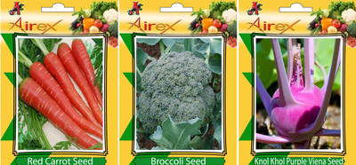 

Airex Red Carrot, Broccoli, Knol Khol Purple Viena Vegetables Seed (Pack Of 20 Seed Red Carrot + 20 Broccoli + 20 Knol Khol Purple Viena Seed) Seed(20 per packet)