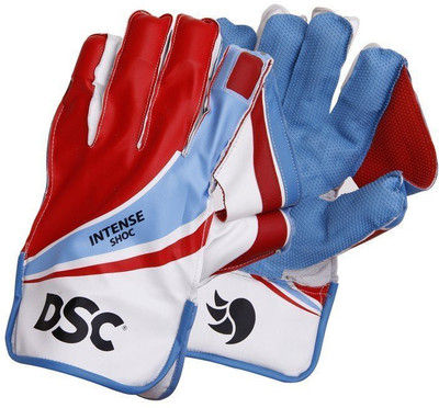 

DSC Intense Shoc Wicket Keeping Gloves (Boys, Red, White, Blue), Multicolor