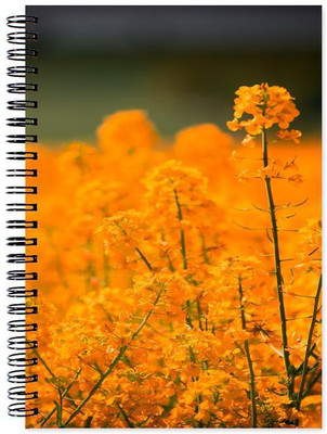 Little Jaipur A5 Note Book(Designer, Multicolor)